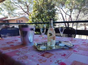 Отель Casa Vacanza Clavel  Сирмионе